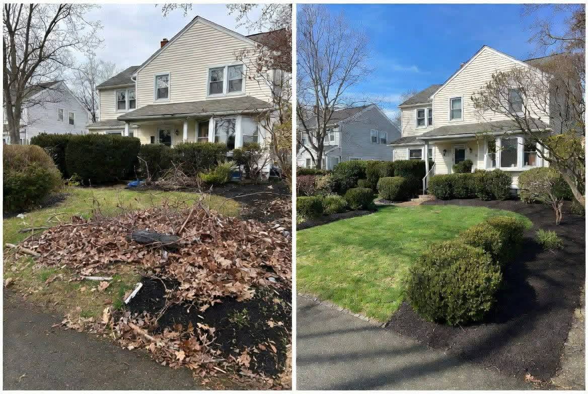 Before and after: a cream colonial home where a leaf-covered yard was transformed into a manicured lawn with neatly shaped shrubs